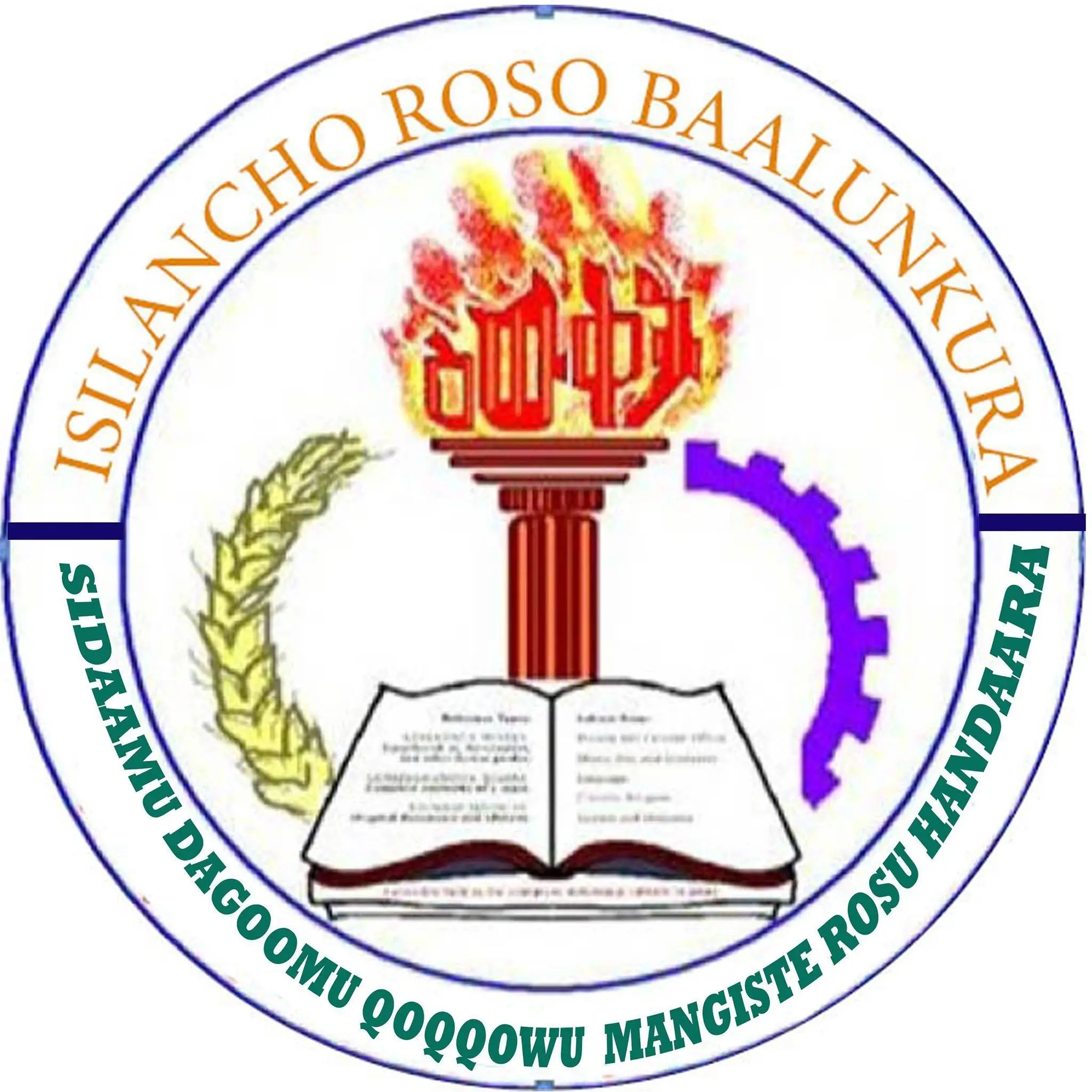 Sidama Ministry et Grade 6 & Grade 8 Result 2017
